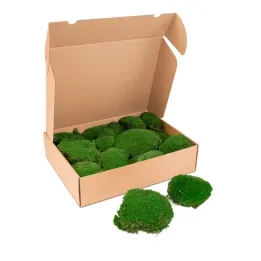 Pillow moss premium forest green 1 kg.