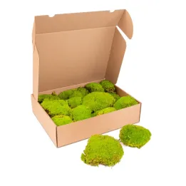 Pillow moss premium springgreen 1 kg. 