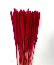 Fluffy pampas fuchsia 70 gr 75 cm