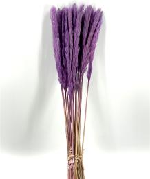 Fluffy pampas lila paars lavendel 70 gr 75 cm