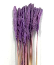 Fluffy pampas lila paars lavendel 70 gr 75 cm