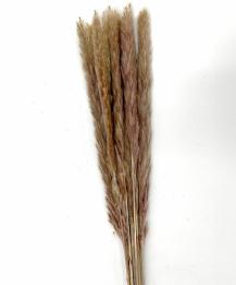 Fluffy pampas naturel 35 gr 70 cm