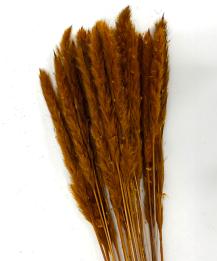 Fluffy pampas oker oranje 70 gr 75 cm