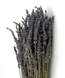 gedroogde Lavendel 100 gr. 40-45 cm bloemschikken