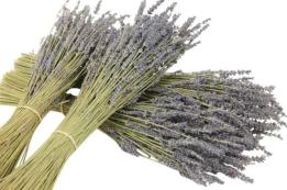 Lavendel 100 gr. 40-45 cm