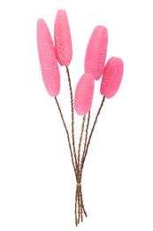 Luffa fuchsia 5 st. 60 cm