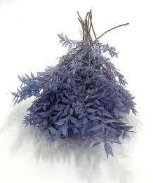 Ruscus paars blauw lavendel 10 takken 200 gram