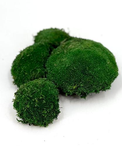 bolmos-kussentjesmos-250gram-bosgroen-bloemschikken-moswand-terrarrium