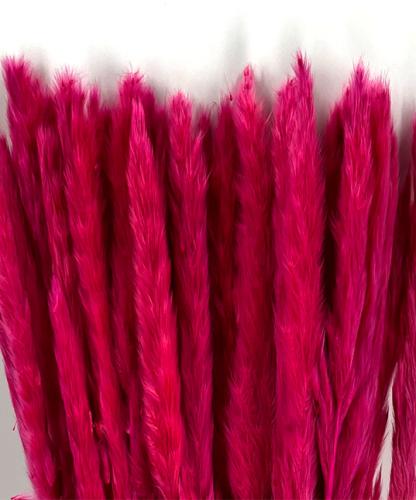 Fluffy pampas fuchsia 70 gr 75 cm