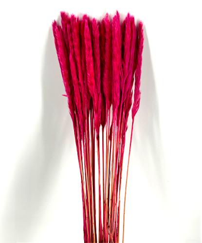 Fluffy pampas fuchsia 70 gr 75 cm