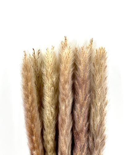 Fluffy pampas naturel 35 gr 70 cm