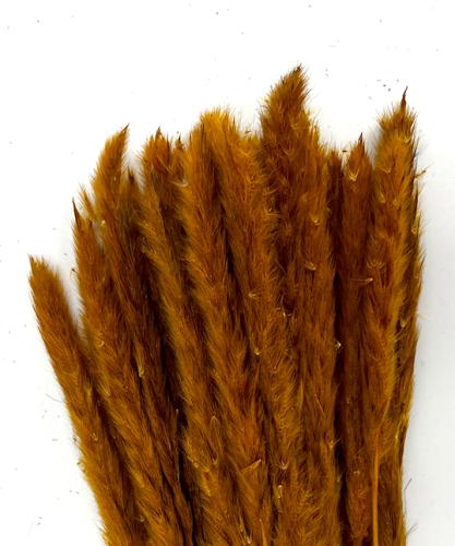 Fluffy pampas oker oranje 70 gr 75 cm