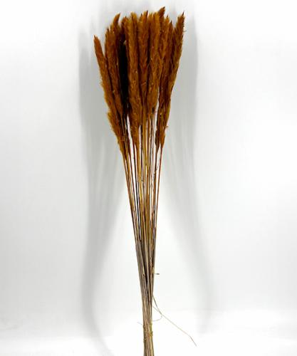 Fluffy pampas oker oranje 70 gr 75 cm