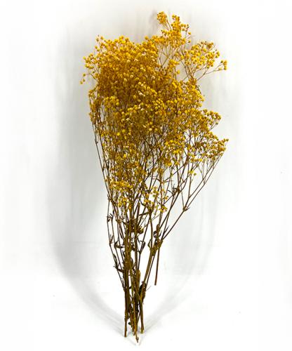 Gipskruid-Gypsophila-geel-droogbloemen-bloemschikken