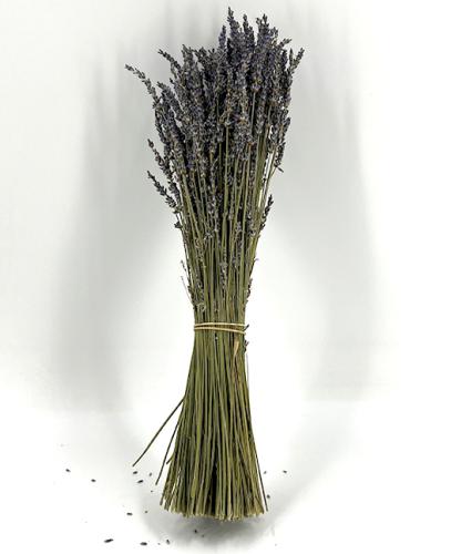 gedroogde Lavendel 100 gr. 40-45 cm bloemschikken