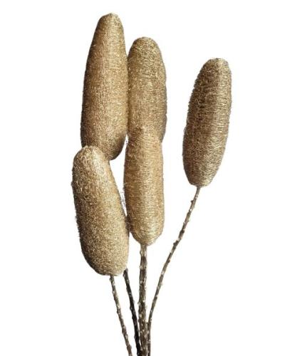 Luffa goud 5 st. 60 cm